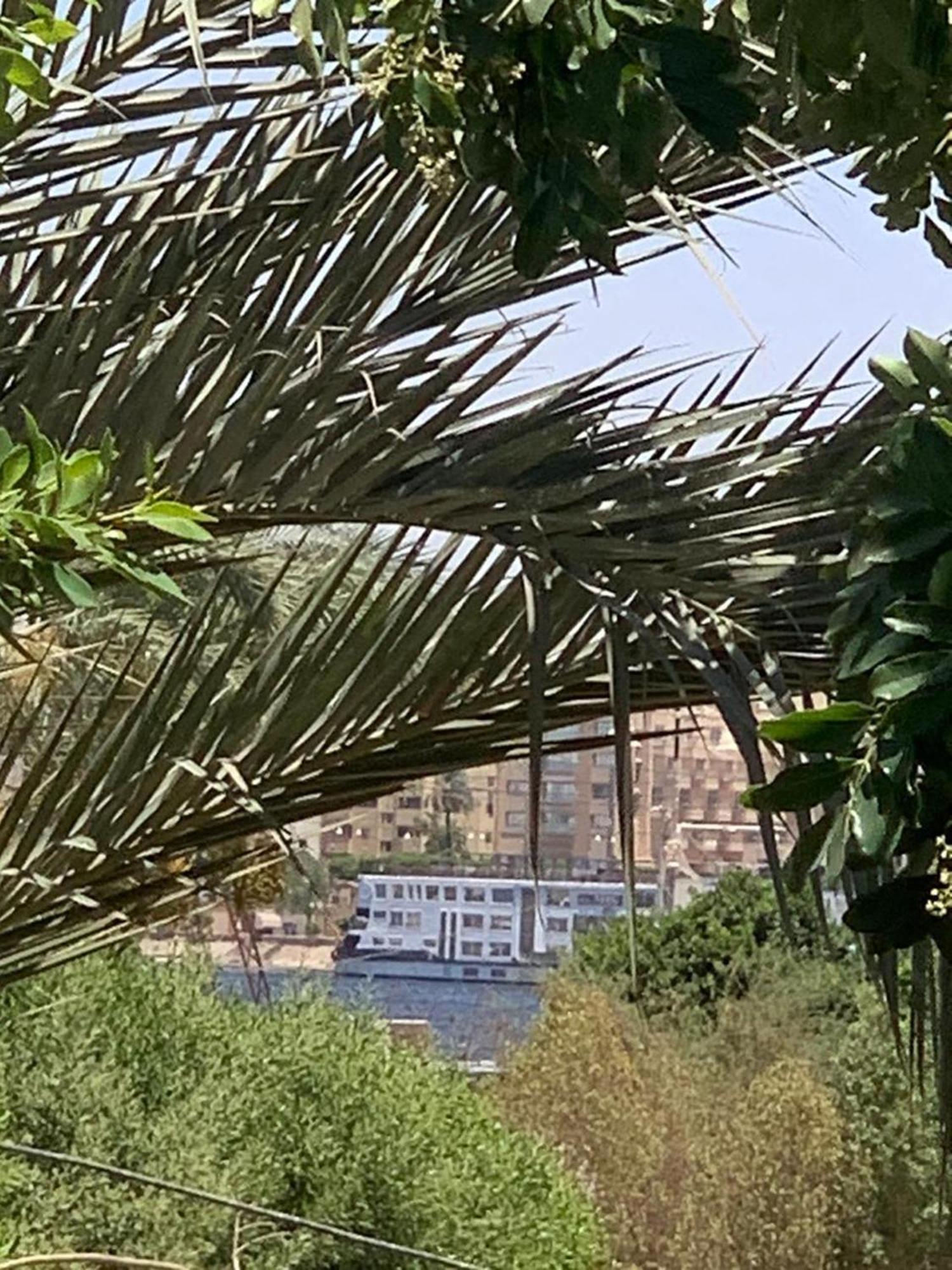 Villa Elhag Nile View Luxor Exterior photo